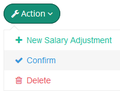 Button-salary-adjustment-action-confirm.png