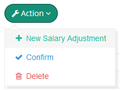 Button-salary-adjustment-action-new.png